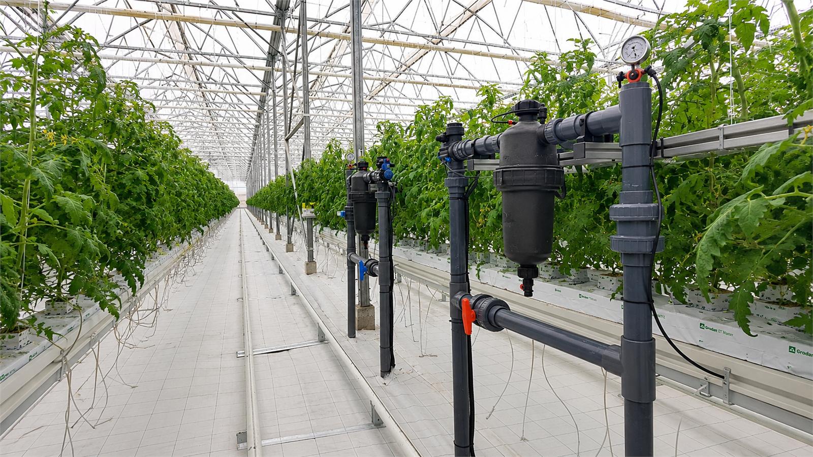 Greenhouse Irrigation